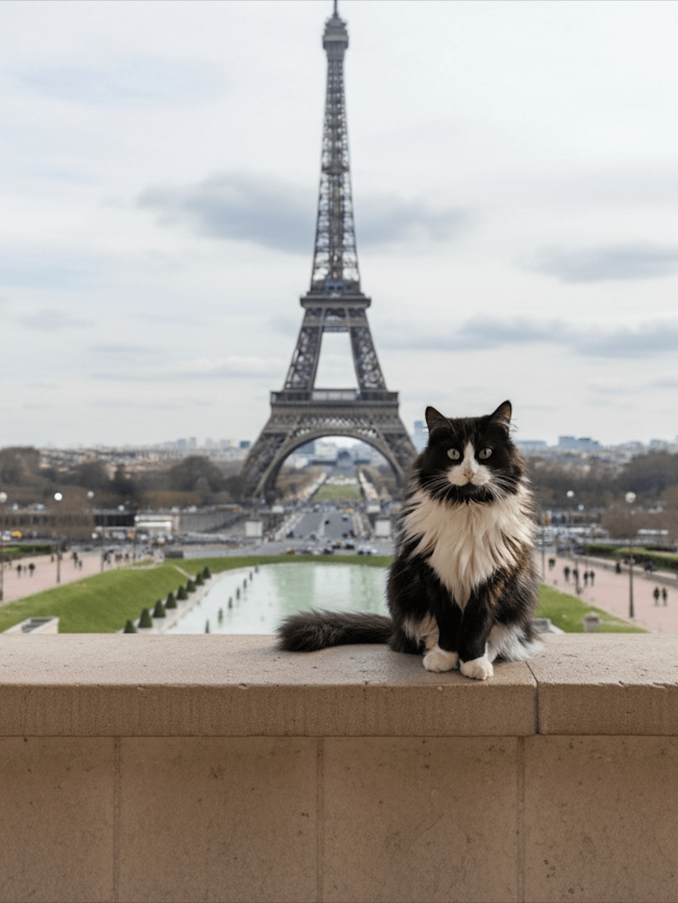 Smudge in Paris